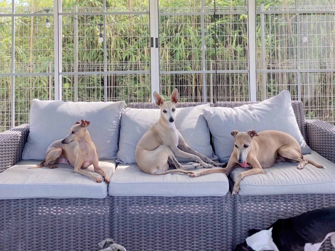 スライドショー1